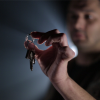 Hidden Hand (DVD and Gimmick) by Sean Fields - DVD - Image 6