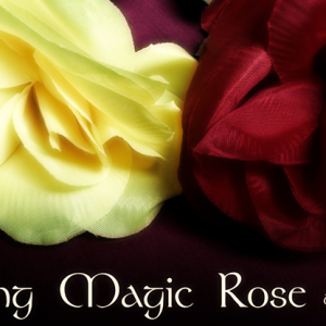 Wilting Rose by Strixmagic - Trick