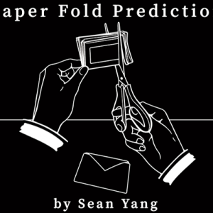 Paper Fold Prediction by Sean Yang - Trick