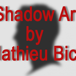 Shadow Art (Bat Man) by Mathieu Bich - Trick