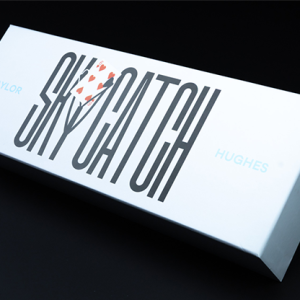Sky Catch by Taylor Hughes