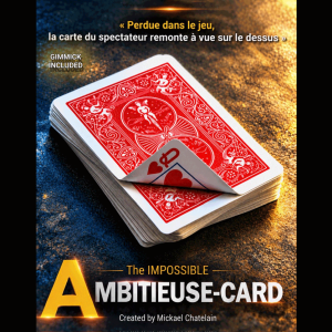 IMPOSSIBLE AMBITIEUSE CARD (BLUE) by Mickael Chatelain